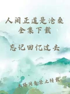 人间正道是沧桑全集下载
