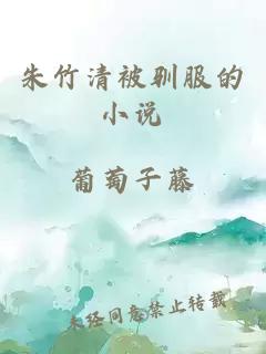朱竹清被驯服的小说